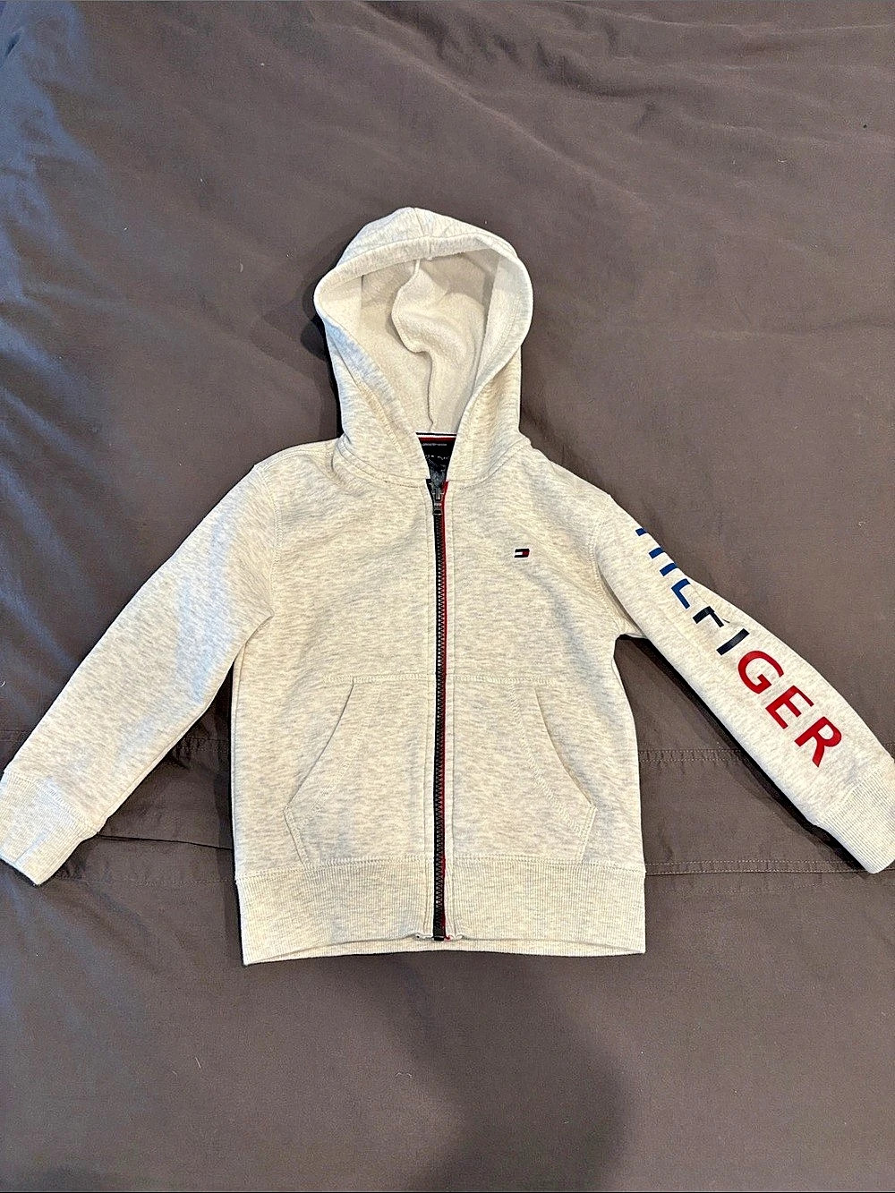 Tommy Hilfiger Kids Logo Sleeve Full-Zip Hoodie Gray Boys 4